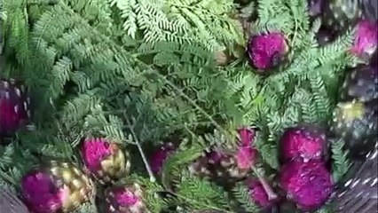 Misterios: La leyenda del Toro Negro de Tepec Jalisco