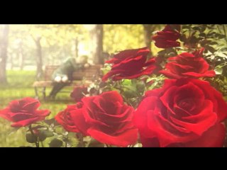 Rule of Rose online multiplayer - ps2