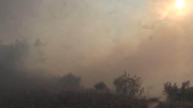Son dakika! Tarlada başlayıp ormanlık alana sıçrayan yangına müdahale ediliyor (4)