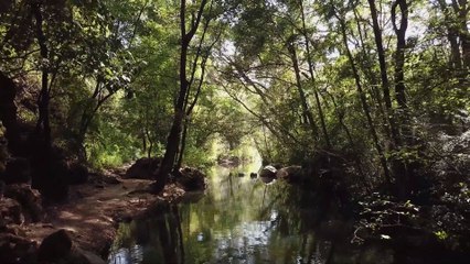 Asmr Extremely Quite and soothing piano Music to help you sleep better #Asmr Headphone Suggested ..