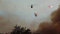 Son dakika haberleri... Adana'da çıkan orman yangınına müdahale sürüyor