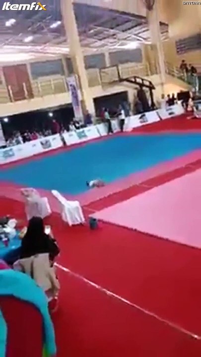 Combat de chats... nouvelle discipline des Jeux Olympiques