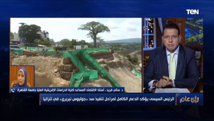 أستاذ اقتصاد: علاقات مصر الاقتصادية بالدول الإفريقية تضاعفت خلال الـ 6 سنوات الماضية