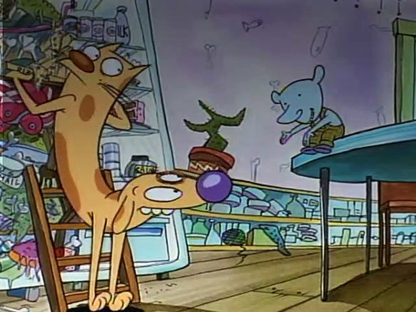 Catdog Cartoon House
