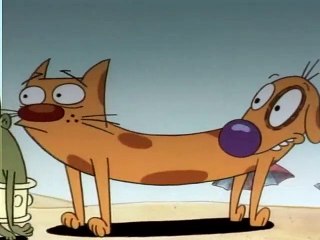 CatDog 1/3 and 1/4
