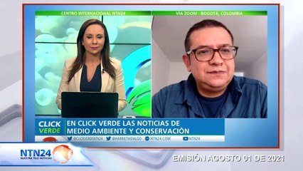 Aumento de deforestación estaría acabando con el “pulmón del planeta”