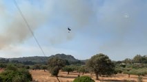 Son dakika haber: RODOS ADASI - Yunanistan'da orman yangınları devam ediyor