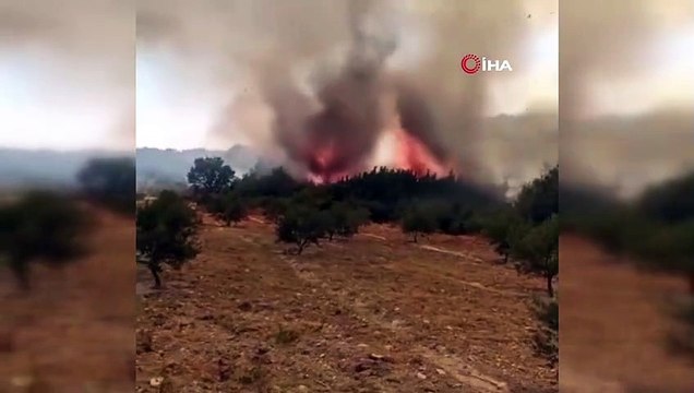 Seydikemer yangını büyüyor