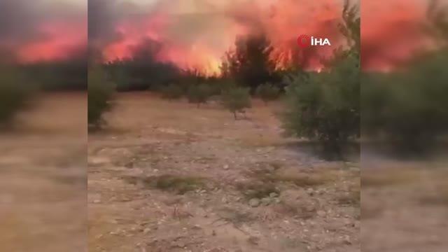 Seydikemer yangını büyüyor