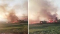 Ankara Nallıhan Kuş Cenneti'nden alevler yükseliyor! Büyüyen yangına karşı hummalı müdahale
