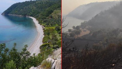 Yangınlara teslim olan Çökertme Koyu'nun son hali yürekleri burktu