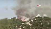 Son dakika haberleri: Demre'deki orman yangını söndürüldü