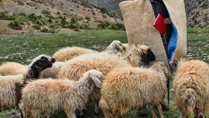 Van'da felaket bitmiyor! 20 yaşındaki gencin ardından 15 yaşındaki çocuk da yıldırım çarpmasıyla öldü
