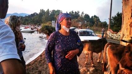 Marmaris'te hayvanlarını terk etmek istemeyen vatandaşlar duygu dolu anlar yaşattı