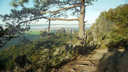 ALE - Relaxing Music for studying, yoga or to calm and slow down