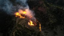 Son dakika haber... Manisa'da korkutan orman yangını