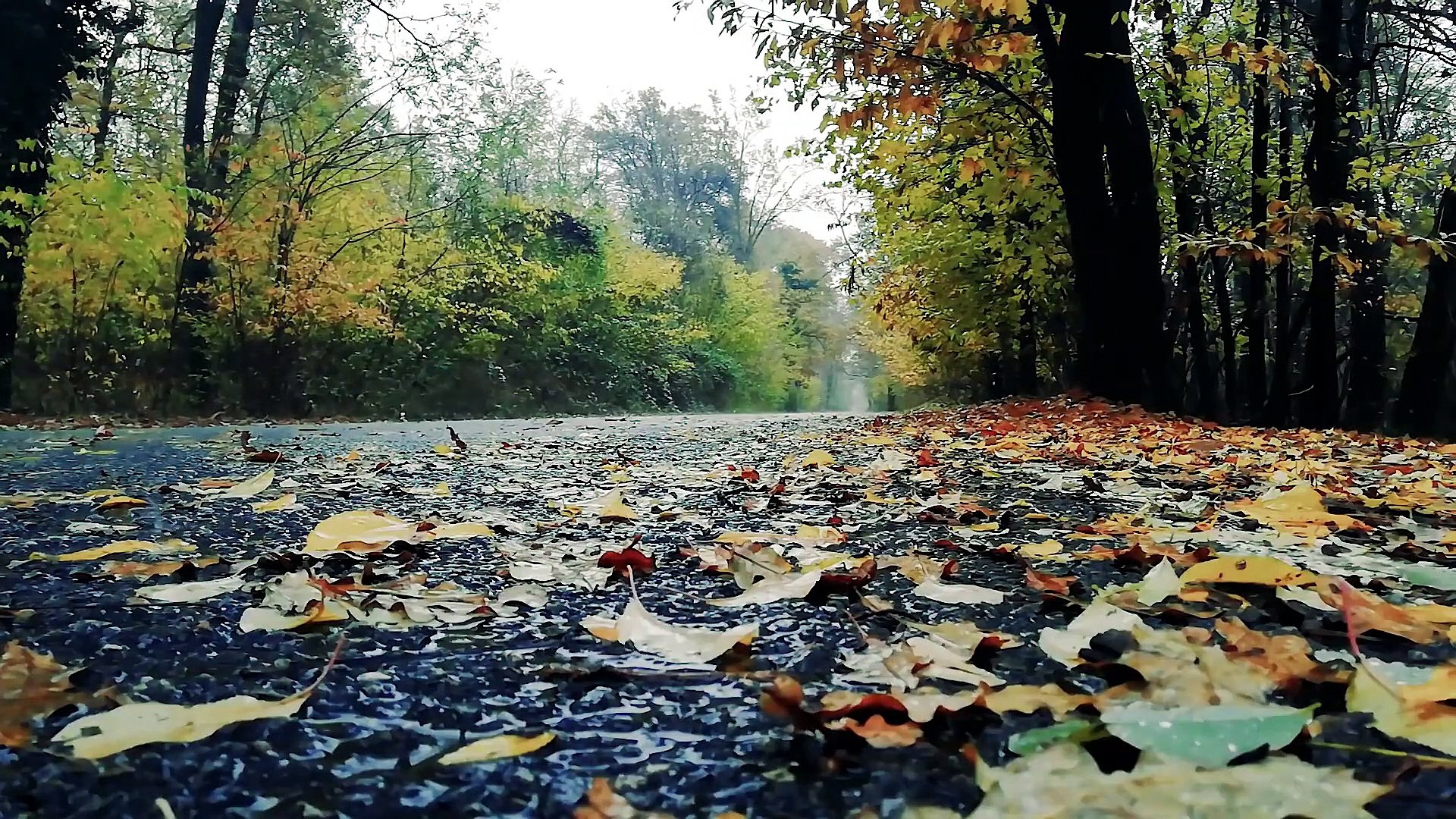⁣Relaxing Music With  Rain Sounds - Beautiful Piano Music, Background Music, Sleep Music, Calm Music