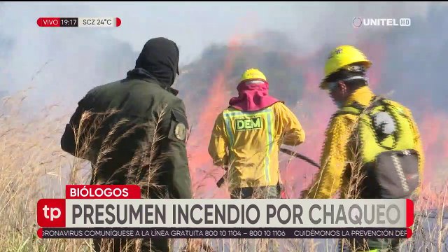 Más de 200 aves y 16 mamíferos y varida fllora fueron afectados por el incendio cerca de Viru Viru