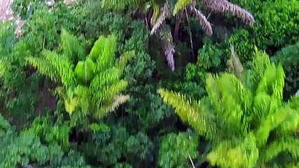 Brasil admite que não cumprirá meta de redução do desmatamento