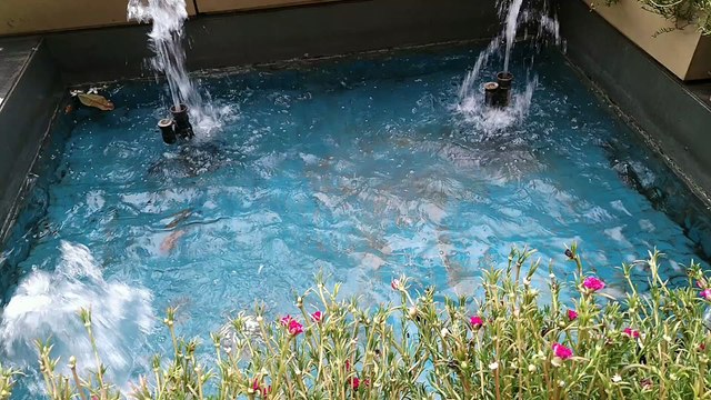 Meditation Music, Peaceful Soothing Music, Relaxing Music, Healing meditation relaxing music, Calm relaxing