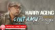 Harry Ageng - Cintamu Pergi (Versi EDM) [Official Lyric Video HD]