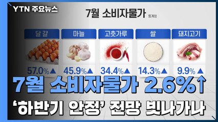 7월 소비자물가 2.6%↑...'하반기 안정' 전망 빗나가나 / YTN