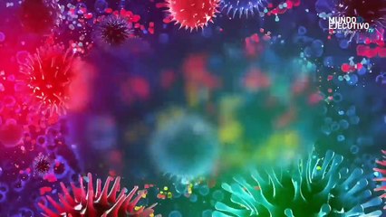 Las Noticias con Alberto Vega: Hubo desinterés por la consulta popular