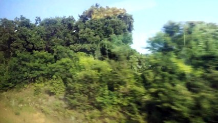 Traveling on the Trinity Railway Express to Dallas Union Station