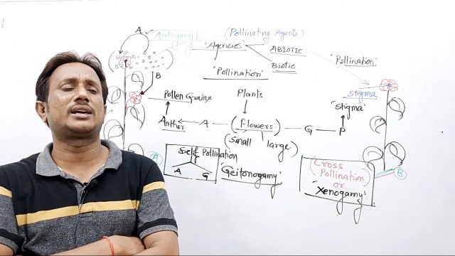 CBSE-12th Biology,Pollination in flowering plants,ms patel_HD
