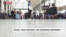 Trains - pass sanitaire : des contrôles aléatoires ?