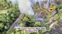 Incendi in Abruzzo, in fiamme la pineta Dannunziana: ecco la storia del luogo simbolo di Pescara