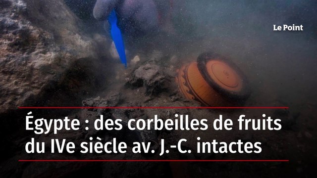 Égypte : des corbeilles de fruits du IVe siècle avant J.C. intactes