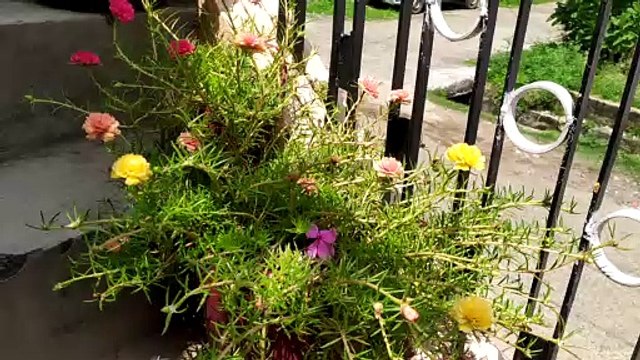 Study vlog | Morning study vlog | My study vlog | Ambivert's study & life