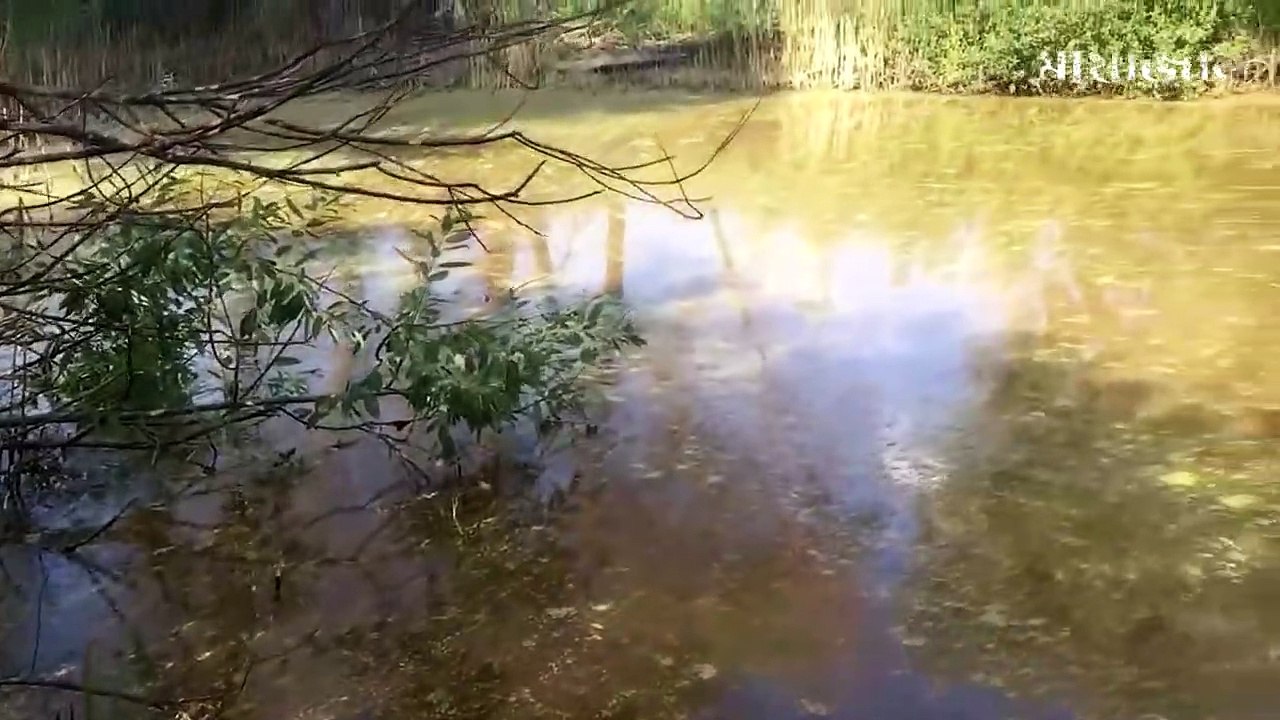 কী করা হচ্ছে এগুলো_ এমন সব জিনিস যা আপনি জীবনে প্রথম বার দেখতে চলেছেন।