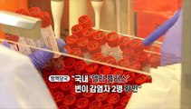 [영상구성] '델타 플러스' 변이 감염자 2명 확인…백신 1차 접종 2천만 명 돌파