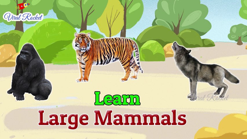 Learn Large Mammals for Kids In English | Large Mammals Names for children  | Mammals with Pictures | Viral rocket - video Dailymotion