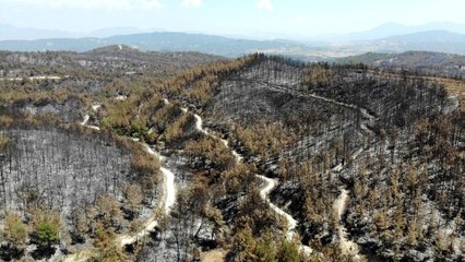 Osmaniye'de bin 500 hektar ormanlık alan küle döndü