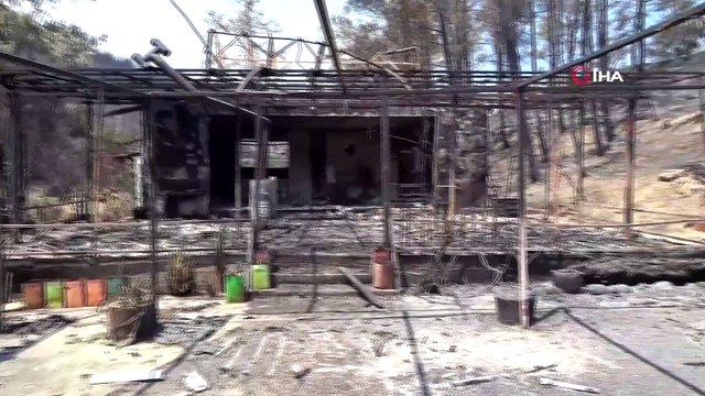 Manavgat yangınında çiftliği küle dönen kadın: “Cehennemi yaşadım”