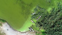 Son dakika gündem: Uluabat Gölü, alg patlamasıyla yeşile büründü