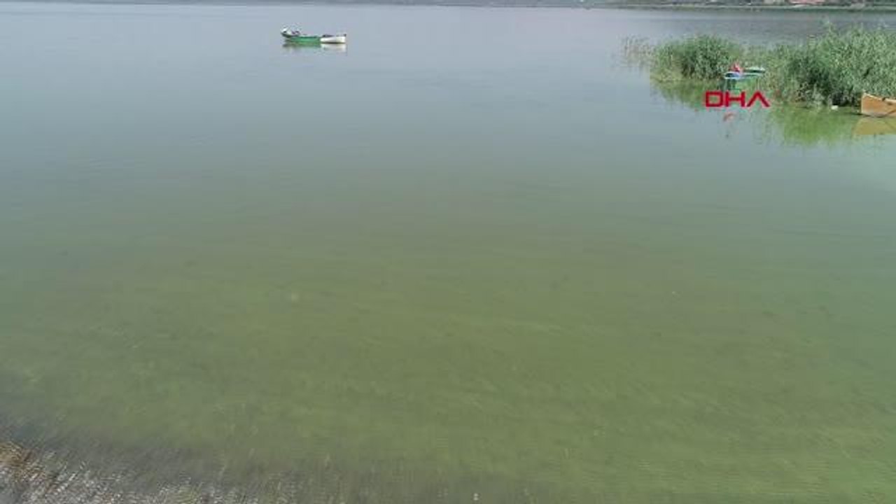 ULUABAT GÖLÜ, ALG PATLAMASIYLA YEŞİLE BÜRÜNDÜ