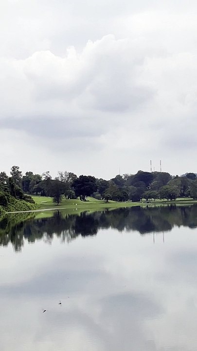 Jungle walk in Singapore 5 | Anthony S Casey Singapore