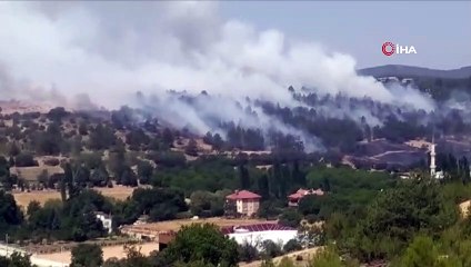 Arazide çıkan yangın ormana sıçradı