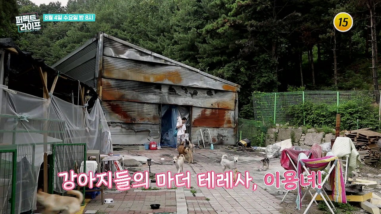 강아지들의 마더 테레사, 이용녀!_퍼펙트 라이프 57회 예고 TV CHOSUN 210...