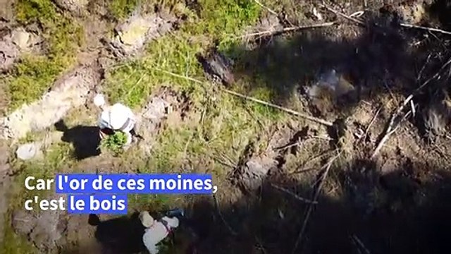 De l'URSS au Covid: un monastère finlandais sauvé par ses forêts