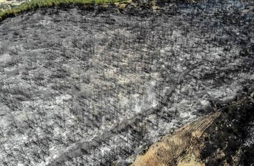 Muğla Kavaklıdere'de boşaltılan köylere geri dönüş başladı