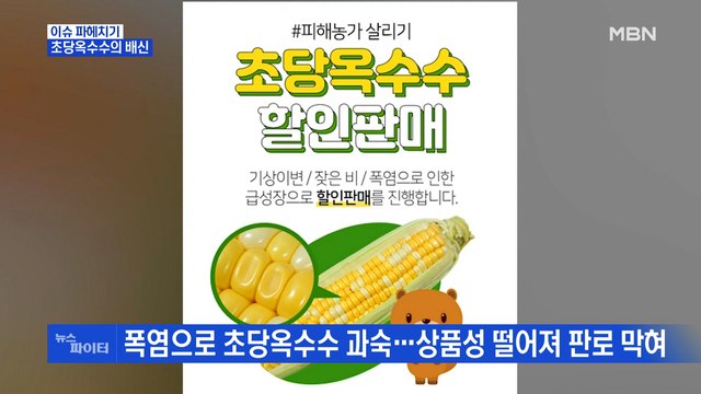 MBN 뉴스파이터-'농가 돕자' 완판 됐는데…초당옥수수 품질 논란에 농민 피해 우려