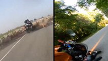 Biker Accidentally Plows Into Flock Of Sheep & Sliding Motorcycle Crash