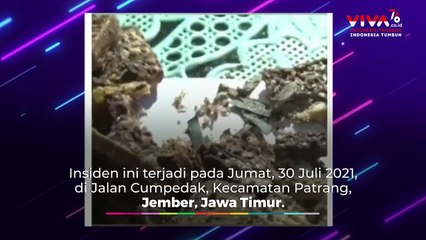 Ini Penampakan Wafer Silet dan Paku yang Bikin Heboh Jember