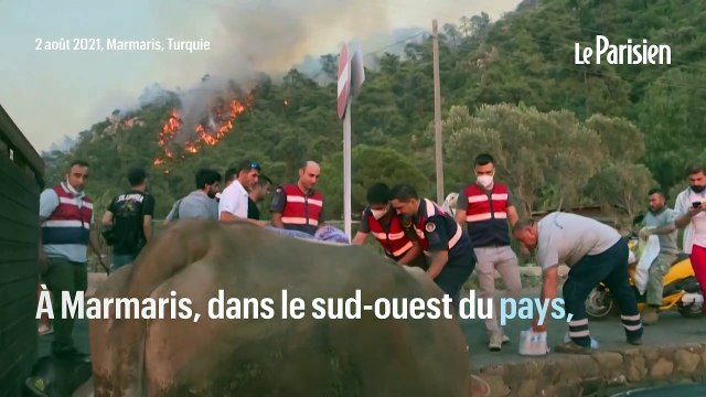 Turquie : des fermiers tentent de sauver leurs animaux des incendies qui ravagent le pays