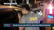 Detik-detik Polisi Gagalkan Upaya Penyelundupan Ribuan Burung